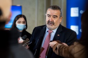 Andrónico Luksic